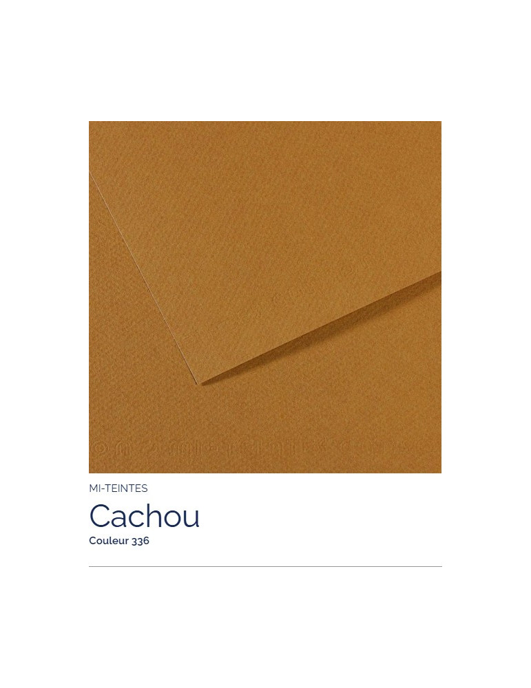 FL   MI-TEINTES®  A4 160G  CACHOU   336