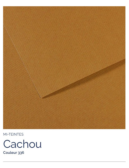 FL   MI-TEINTES®  A4 160G  CACHOU   336