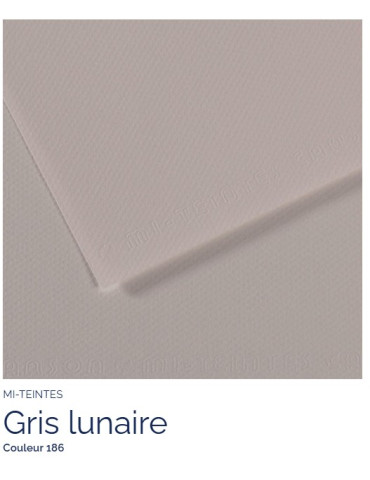 FEUILLE   MI-TEINTES®  A4 160G GRIS LUNAIRE 186