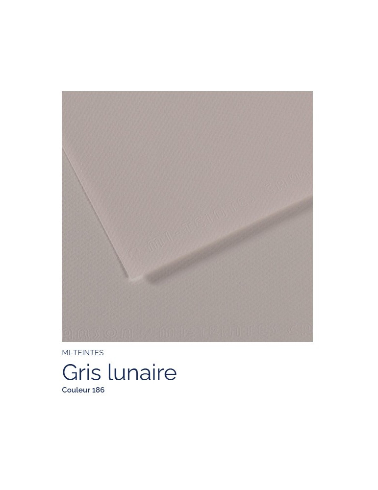FEUILLE   MI-TEINTES®  A4 160G GRIS LUNAIRE 186