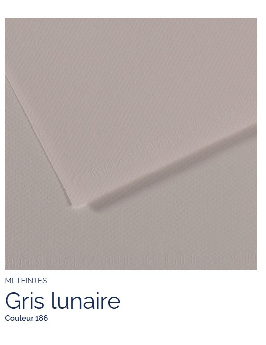 FEUILLE   MI-TEINTES®  A4 160G GRIS LUNAIRE 186