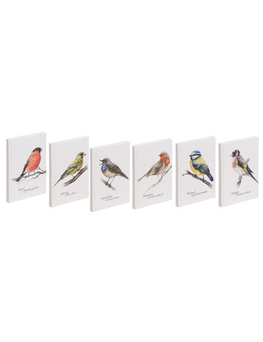 Set 6 Carnet A6 Oiseaux