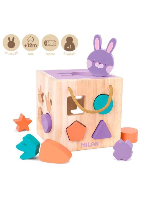'Rabbit' cube with pieces to fit, wooden educational toy