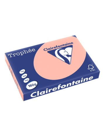 Papier A3 coloré Clairefontaine Trophée 1141C, 160 g, pêche, les 250 feuilles