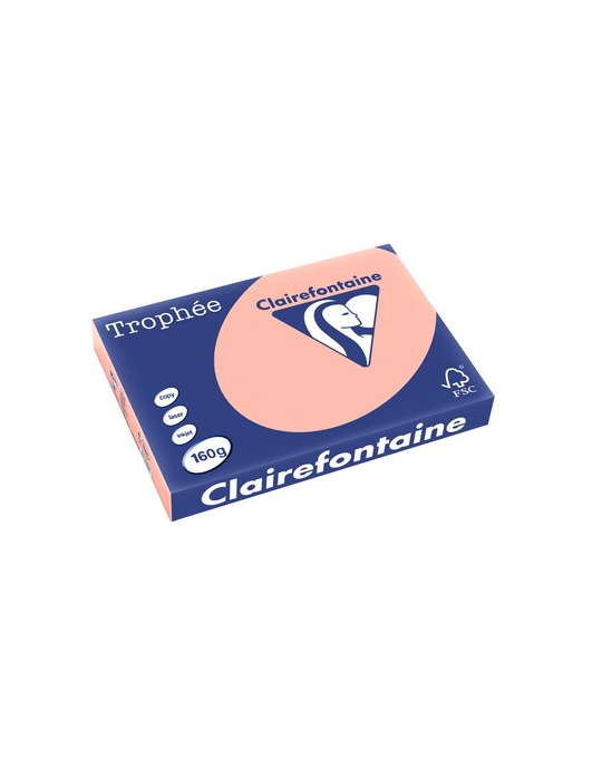 Papier A3 coloré Clairefontaine Trophée 1141C, 160 g, pêche, les 250 f