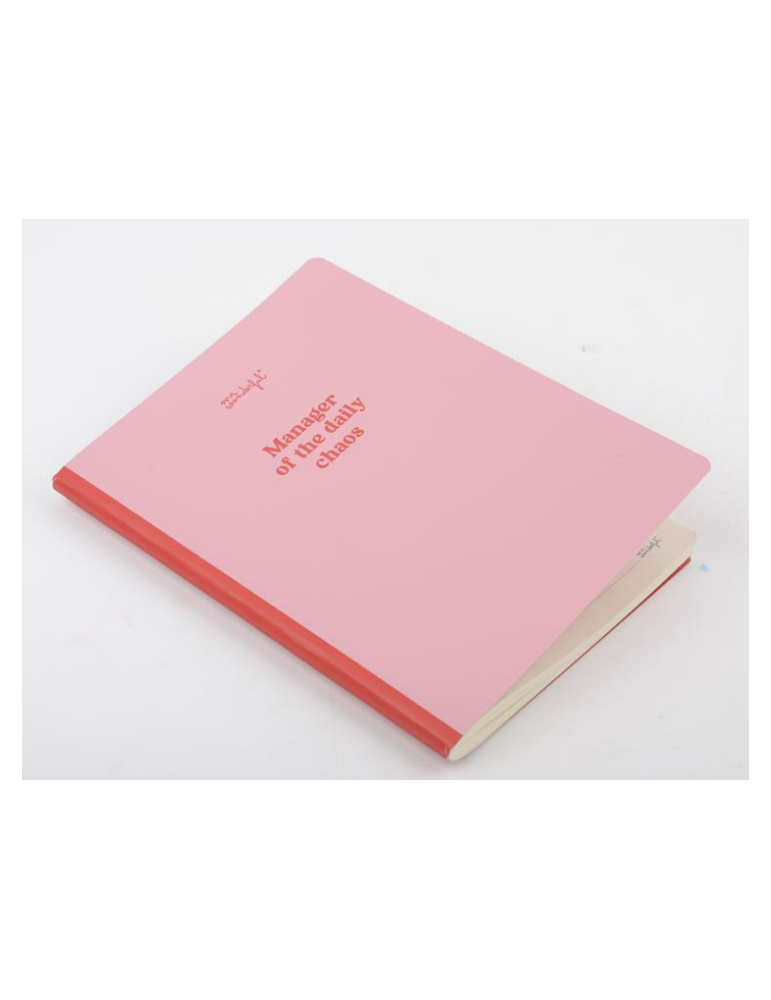 Carnet A5 - Manager of the daily chaos