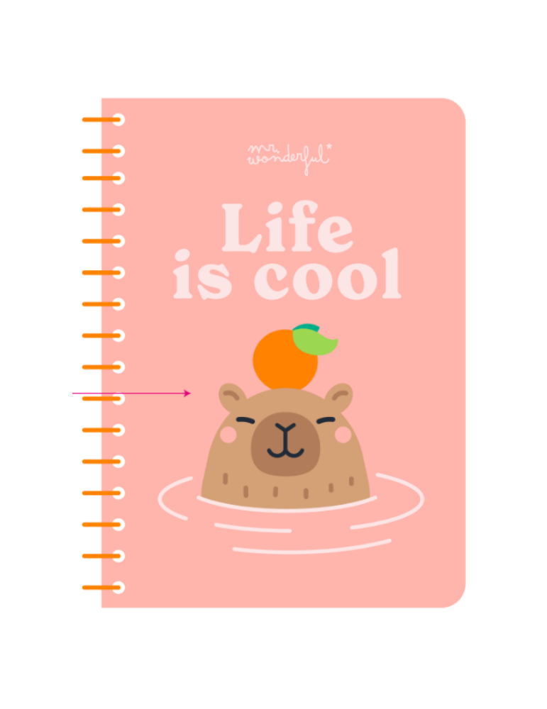 Carnet A5 3D squishy capybara - Life is cool