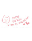 NIO School FR "Crois en toi, tu en es capable"